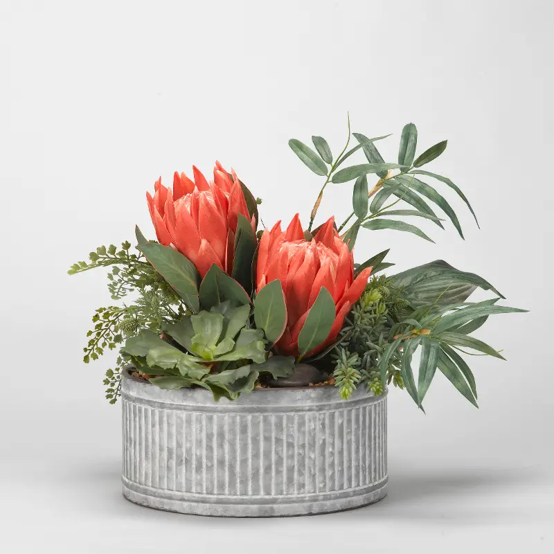 King Protesa with Succulents and Foliage Arrangement in Tin Planter