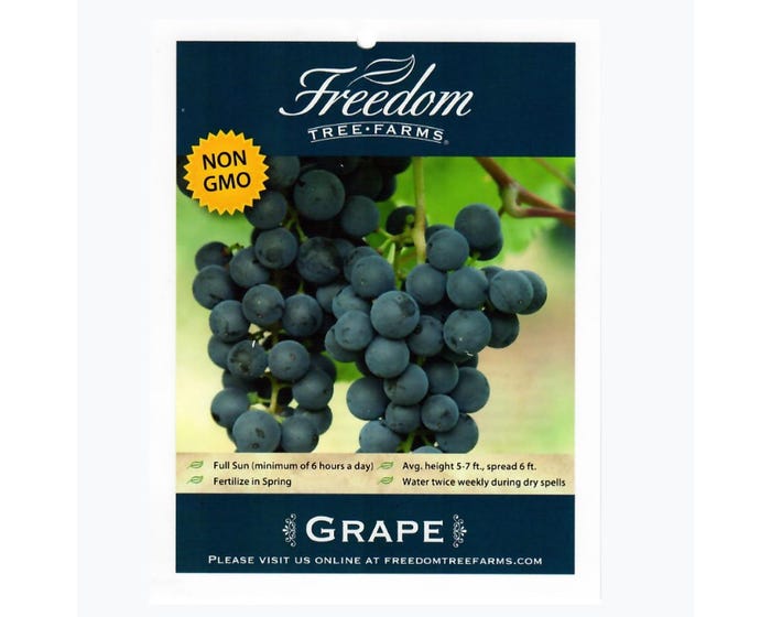 Freedom Farms Venus Grape 2 Gallon Pot