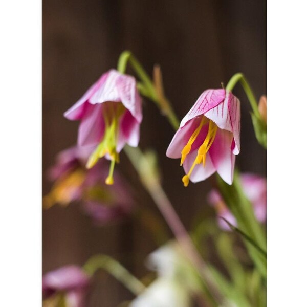 RusticReach Silk Fritillaries Lily Flower Stem in Pink or Purple 26 Tall