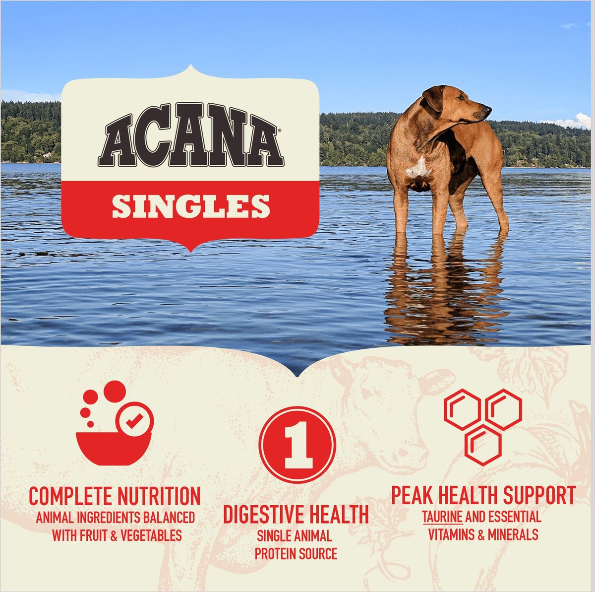 ACANA Singles Limited Ingredient Diet Pork and Squash Recipe Grain-Free Dry Dog Food