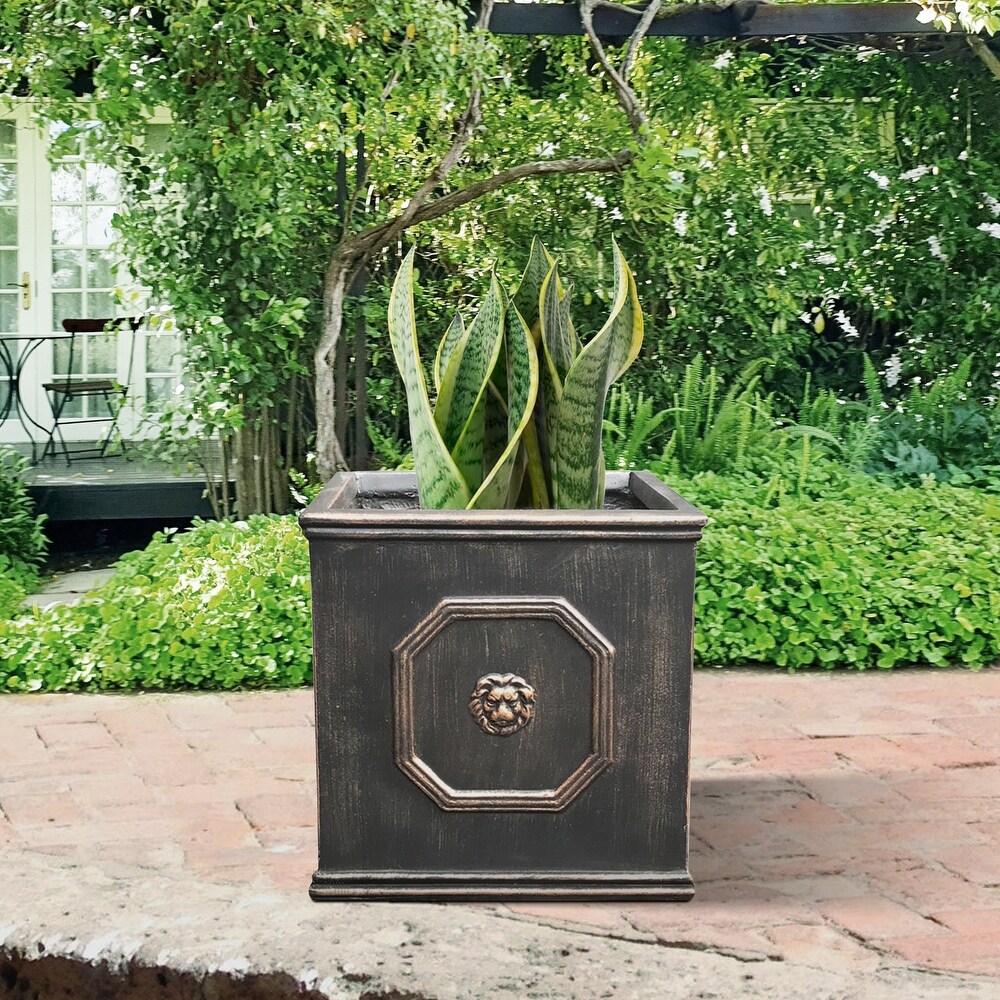 DurX litecrete Lightweight Concrete Lion Head Square Bronze Planter Medium   12.6'x12.6'x12.6'