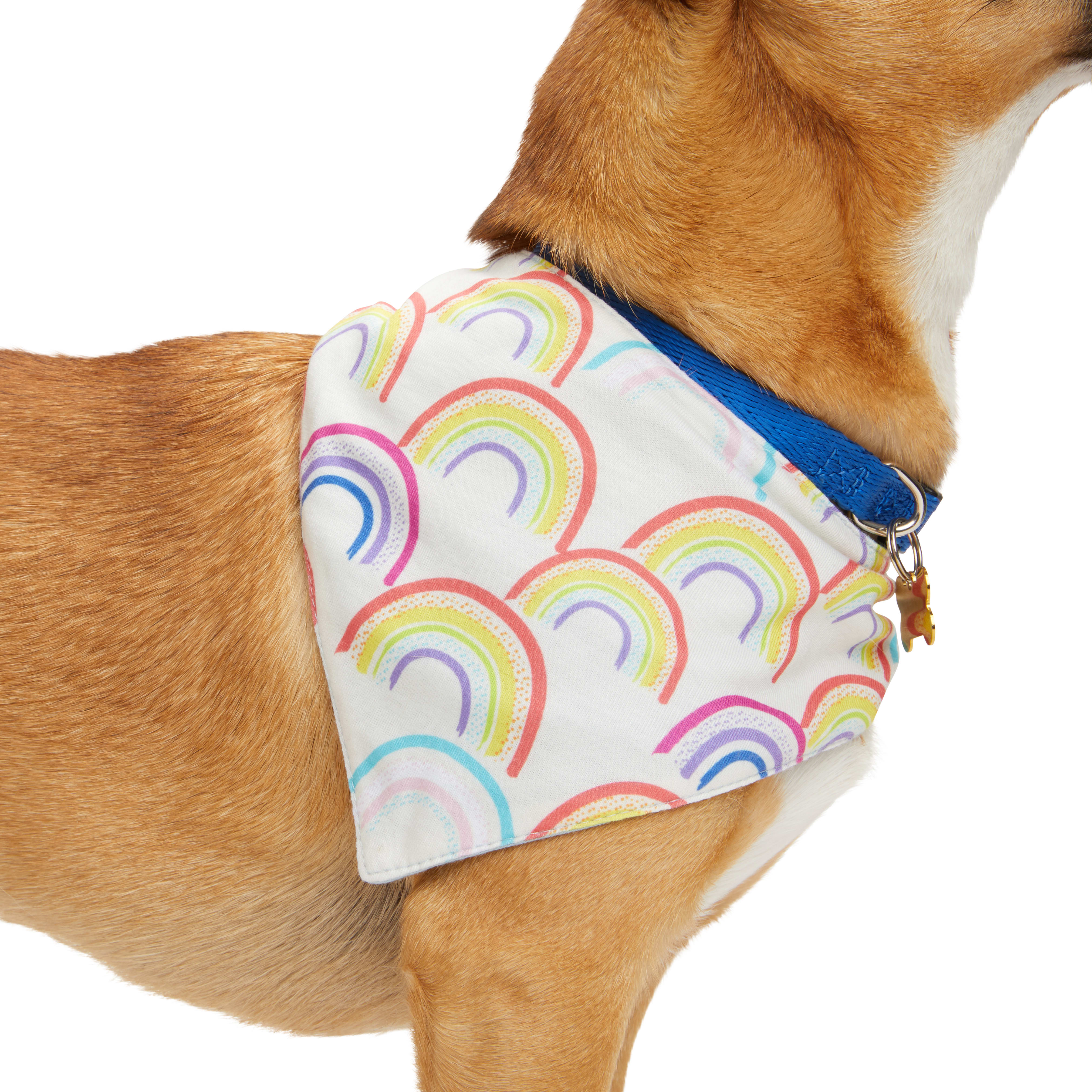 YOULY Blue Pride Reversible Dog Bandana， X-Small/Small