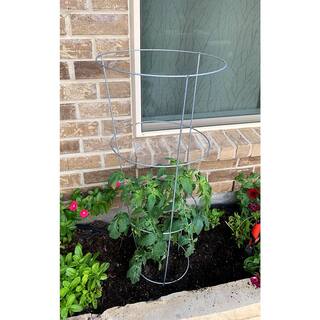 Glamos Wire Products Glamos Wire 54 in. Plant Support (5-Pack) 716073