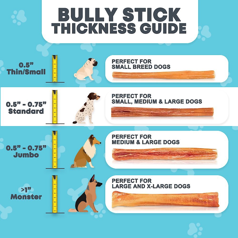 HOTSPOT PETS Premium Bully Sticks Dog Treats， 12-in