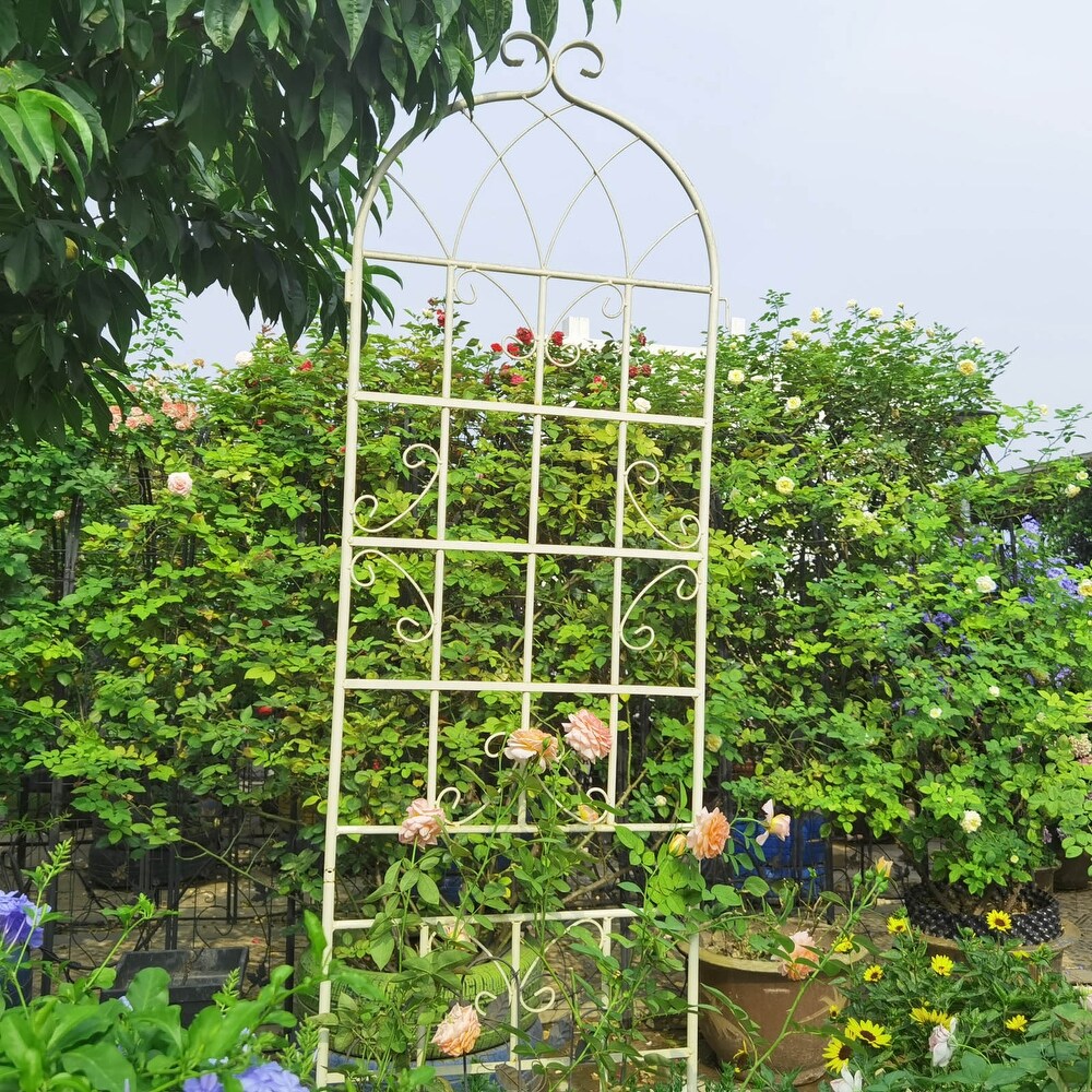 2 Pack Retro Metal Garden Trellis  White Patio Plant Trellis for Climbing Plants Outdoor Flower Support