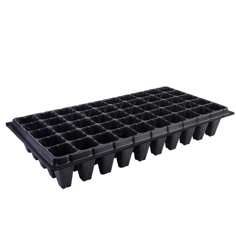 Supply strawberry seedling tray for tree height to deepen