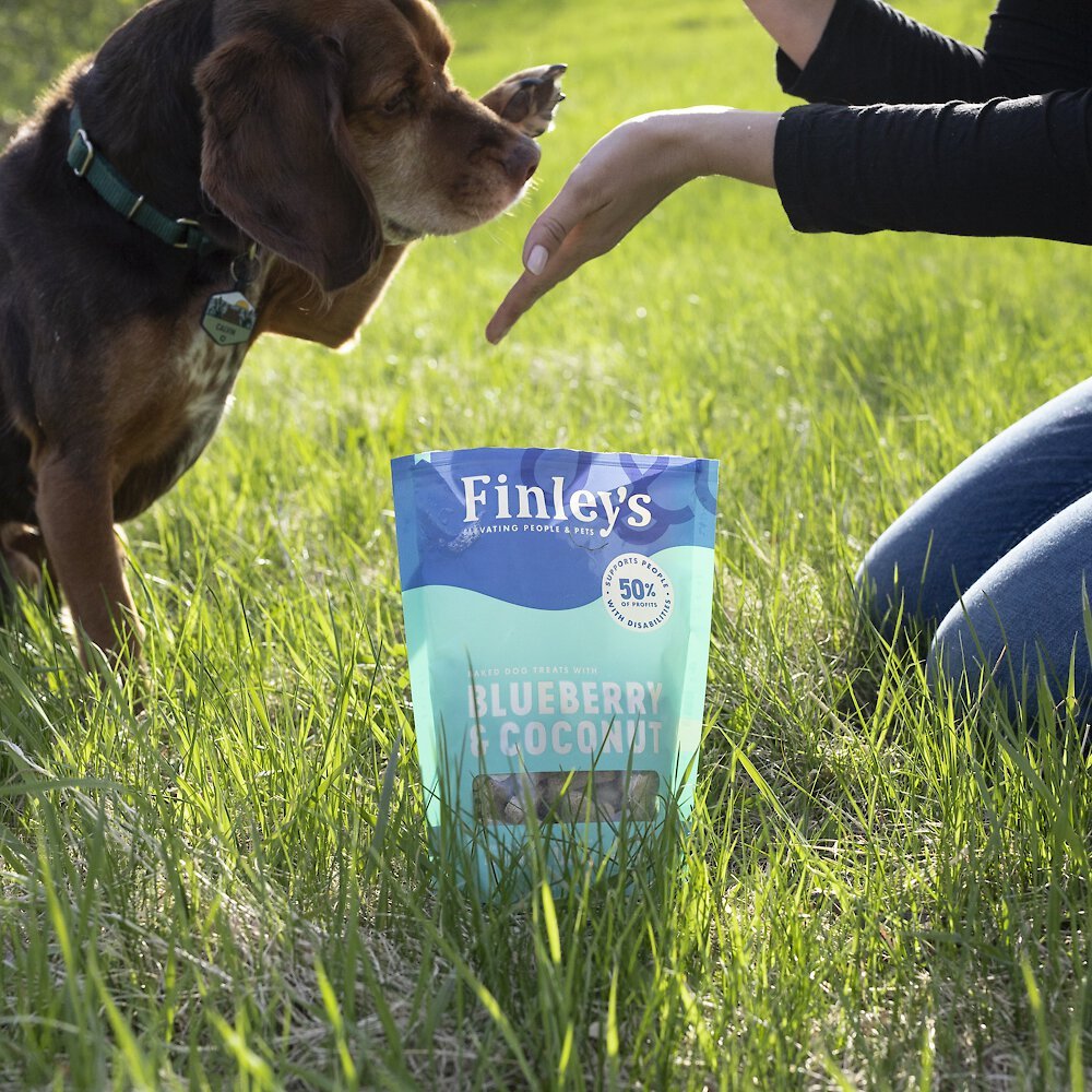 Finley's Barkery Wheat-Free Blueberry and Coconut Crunchy Biscuit Dog Treats