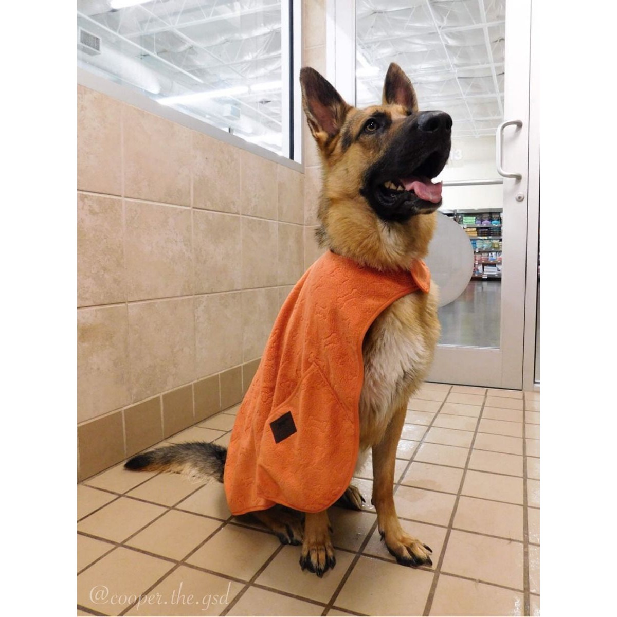 Tall Tails Cape Dog Towel