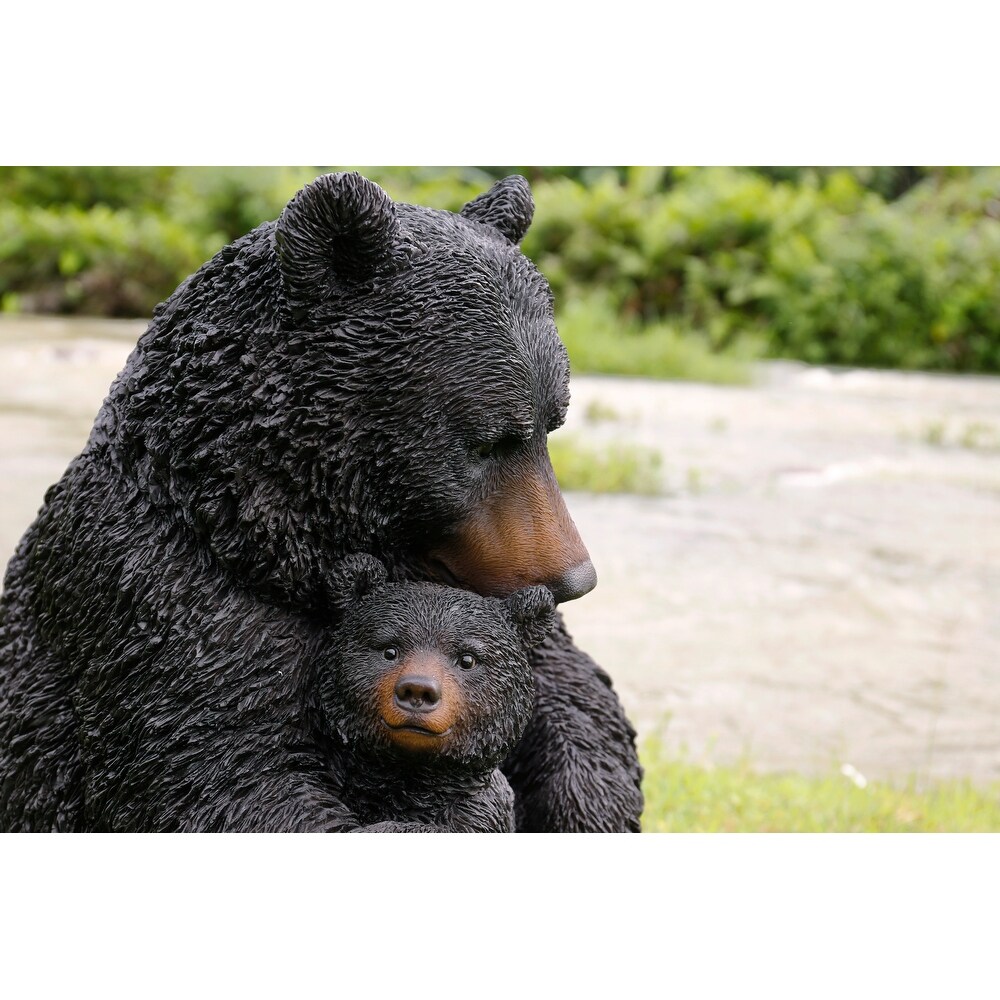 Large Black Bear Mother   Child Embracing