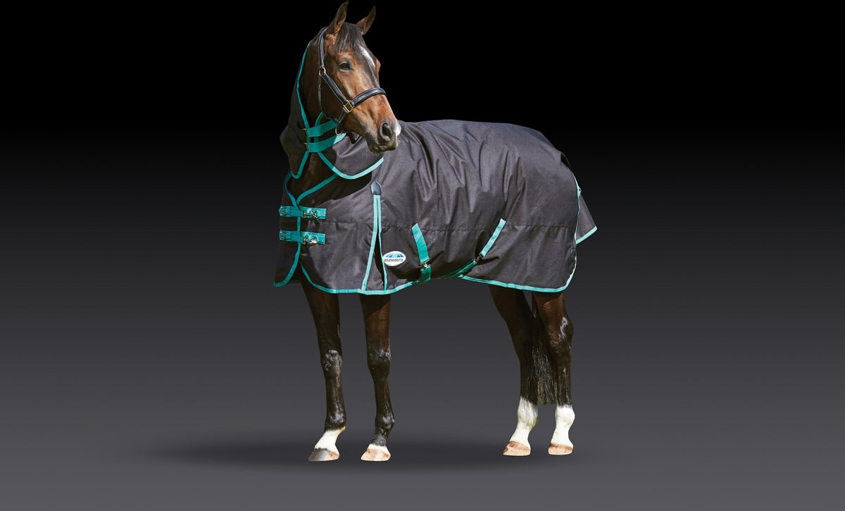 WeatherBeeta Green-Tec 900D Detach-A-Neck Medium Horse Blanket