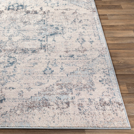 Ankara Distressed Blue Rug