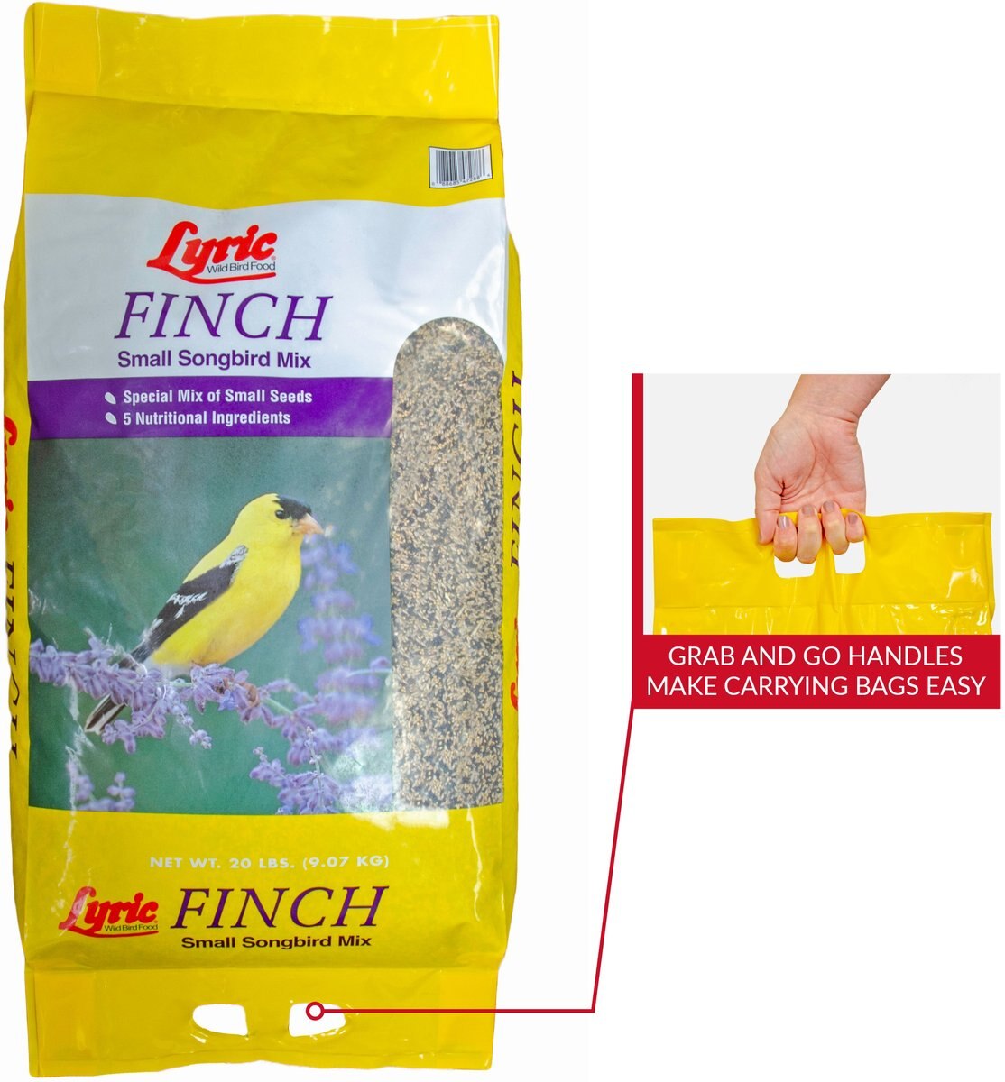 Lyric Finch Small Songbird Mix Wild Bird Food