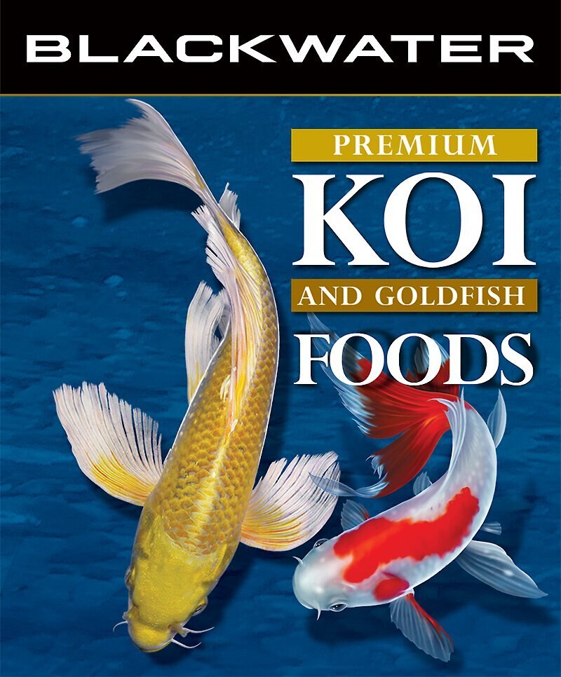 Blackwater Premium Koi and Goldfish Food Color Enhancing Medium Pellet Fish Food， 40-lb bag