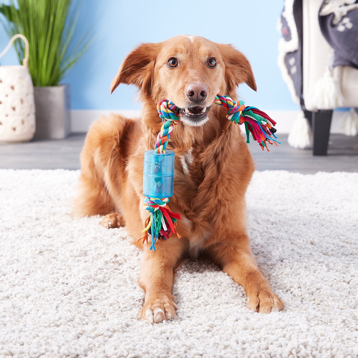 Mammoth Cloth Squeaky Rope for Dogs， Color Varies