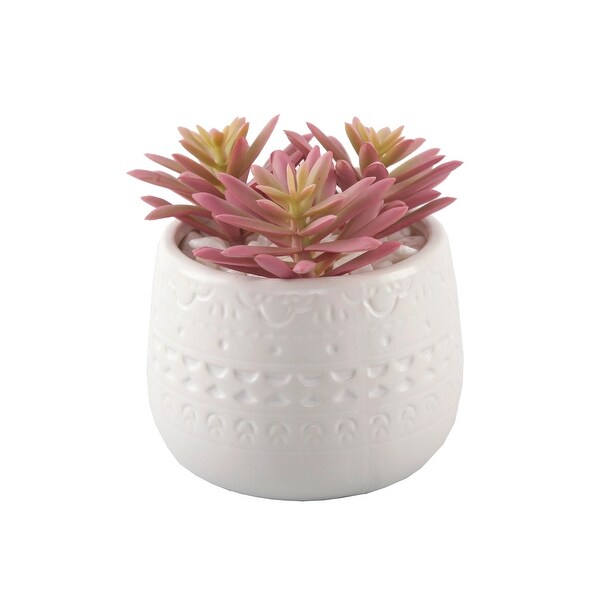 4.25H Pink Cactus in 4 Mayan Pot