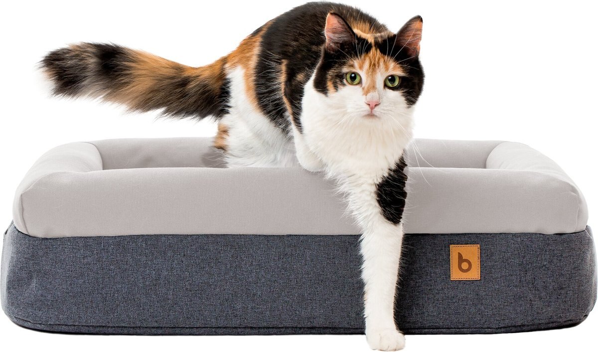 Litterbox.com Memory Foam Cat and Dog Bed