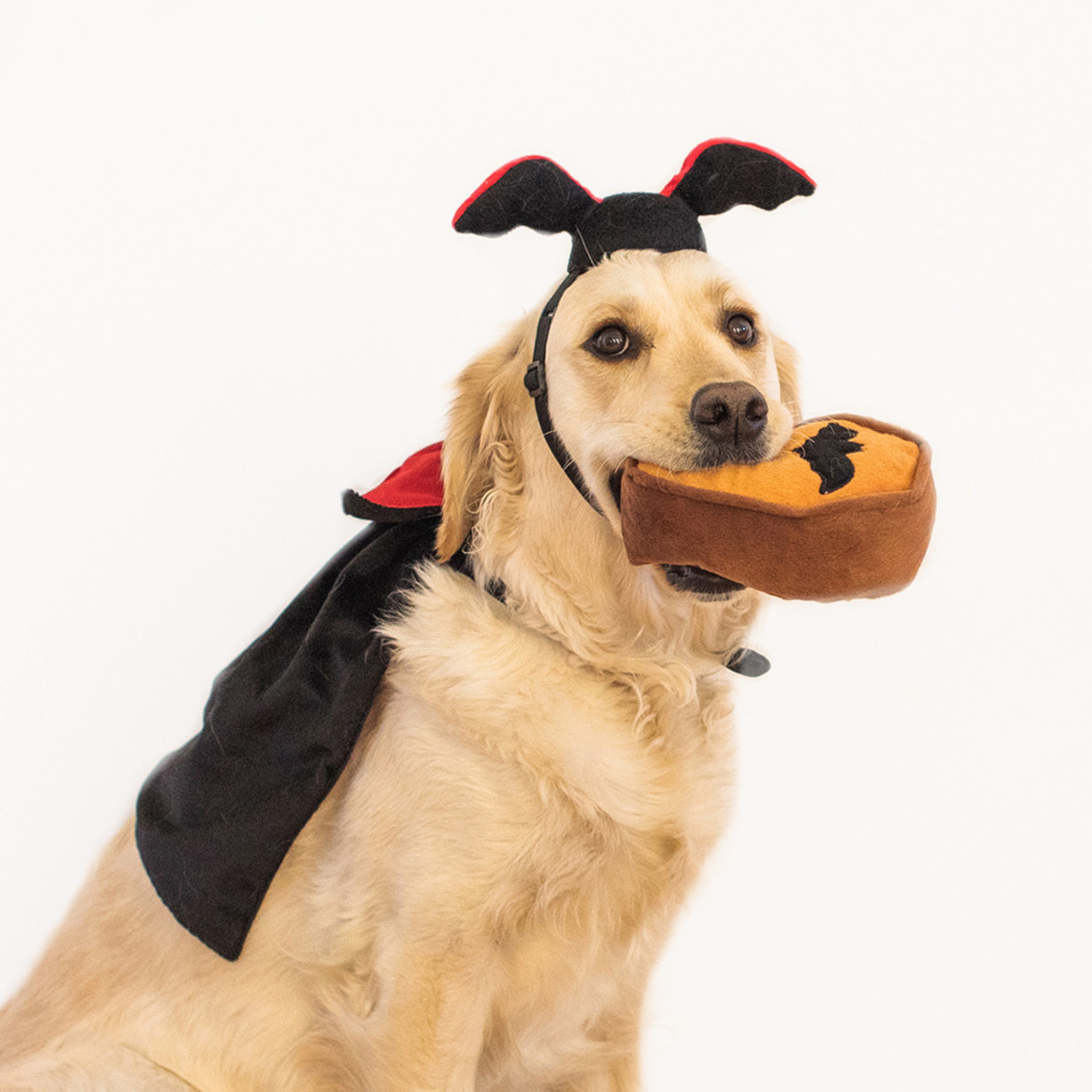 Zippy Paws Halloween Dracula Costume Kit