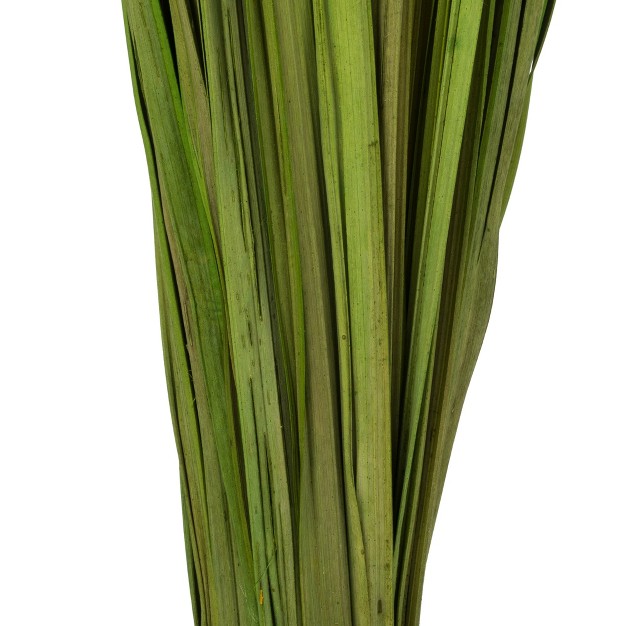 Basil Wild Flax Grass. Comes In 12oz (3 -4 Oz Bundles)， Dried