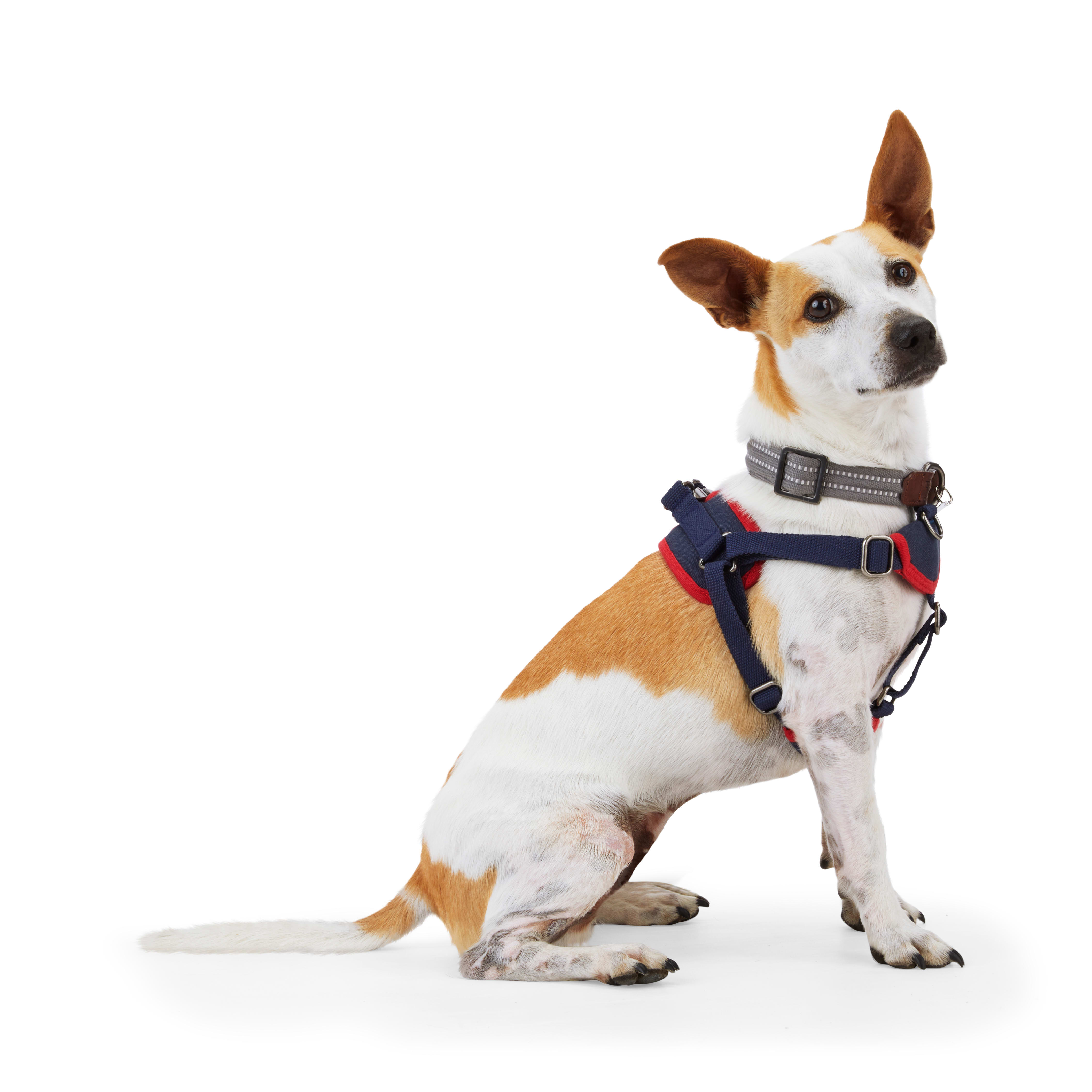 Reddy Navy Canvas Step-In Dog Harness， Medium