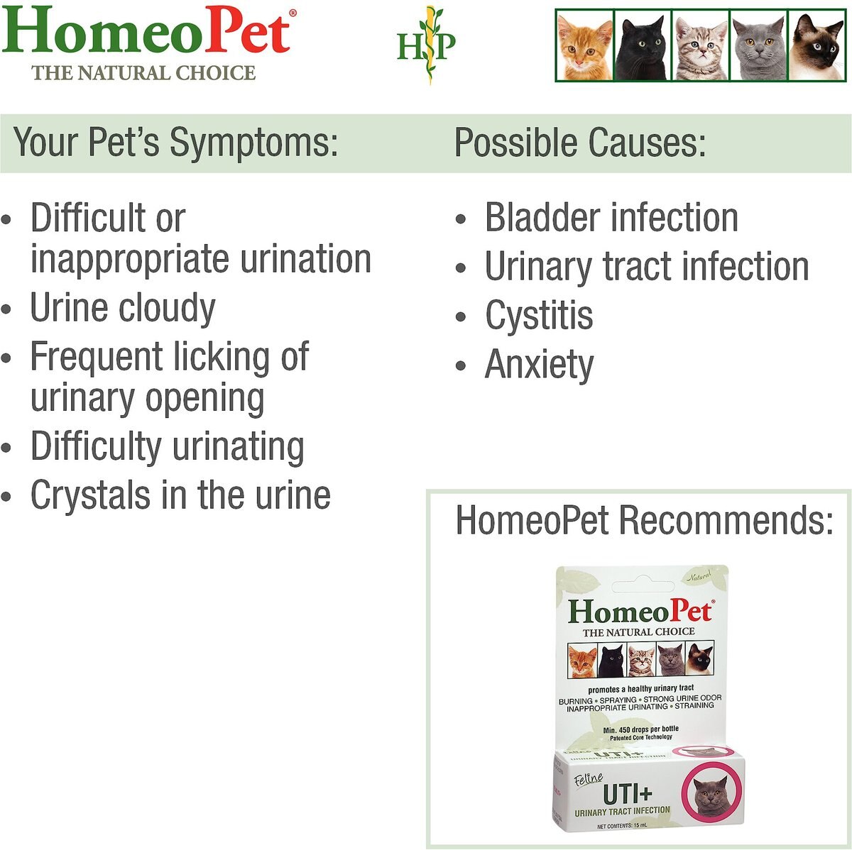 HomeoPet UTI+ Homeopathic Medicine for Urinary Tract Infections (UTI) for Cats