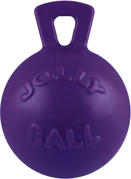 Jolly Pets Tug-n-Toss Dog Toy， Purple