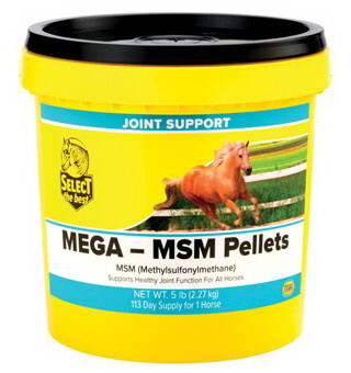 Richdel 784299660502 Mega Msm Pellet 5Lb