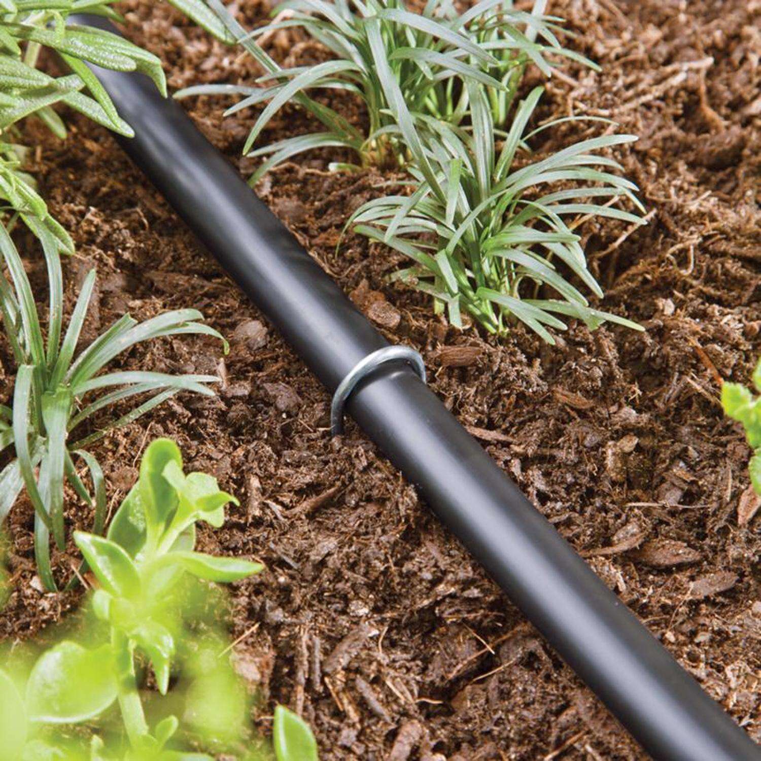 Raindrip Drip Irrigation Tubing Stake 8 in. H 15 pk