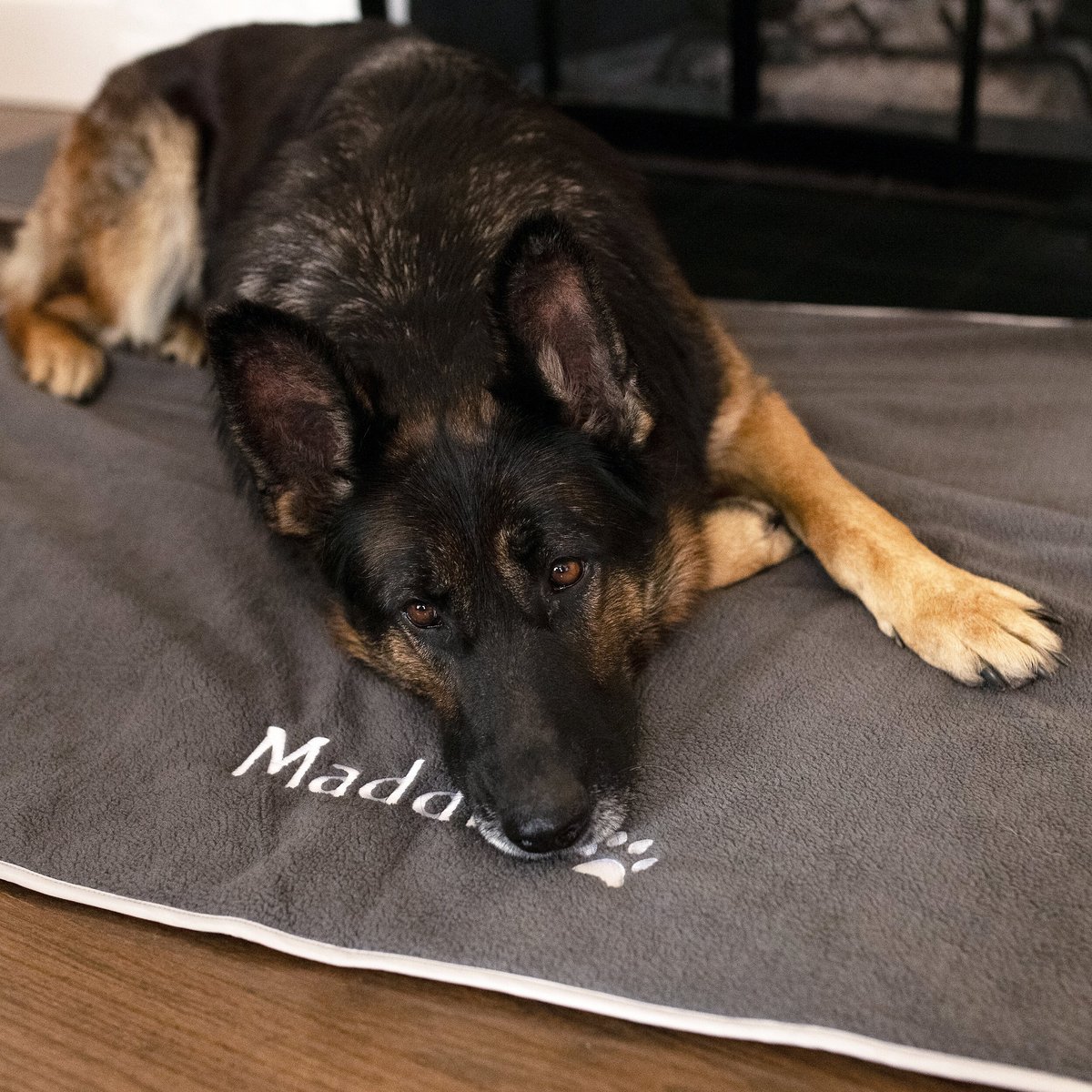 GoTags Personalized Dog Blanket