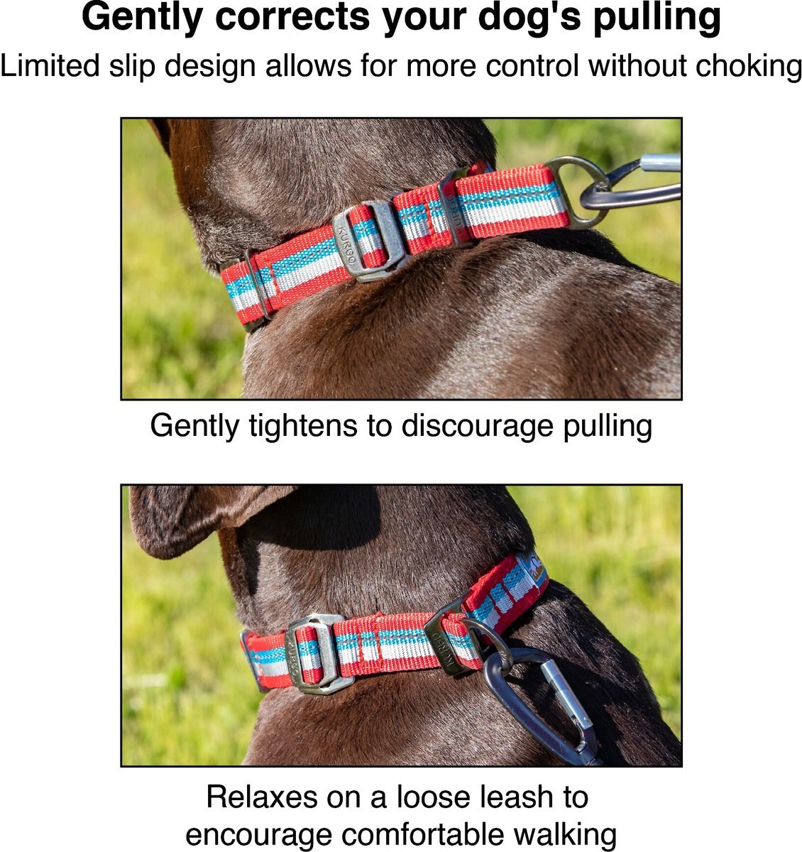 Kurgo Walk About Limited Slip Dog Collar， Multi-color