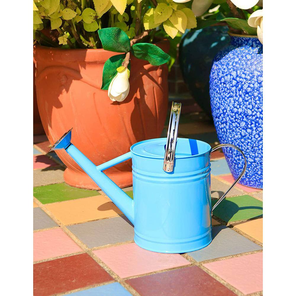 Cubilan 1 Gal. Metal Watering Can for OutdoorIndoor Plants Galvanized Steel Watering Can with Stainless Steel Handle B09J1H64WB