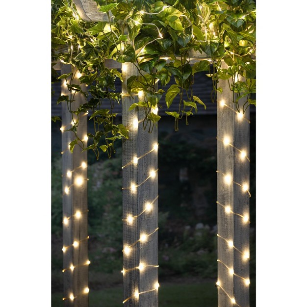 Everlasting Glow 50 ft L Warm White Micro Led Silver String