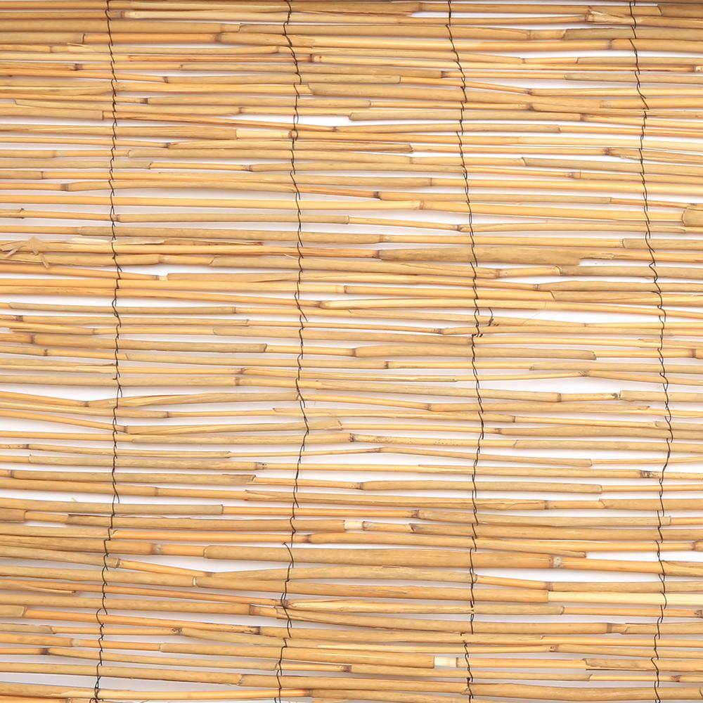 Vigoro 4 ft. H x 8 ft. W Natural Peeled and Polished Reed Fencing 4477301