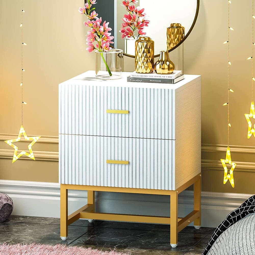 Nightstand 2 Drawer  Bed Side Table with Storage Cabinet End Table