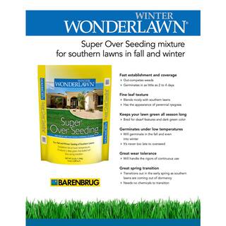 Barenbrug 25 lb. Winter Wonderlawn Grass Seed 23065