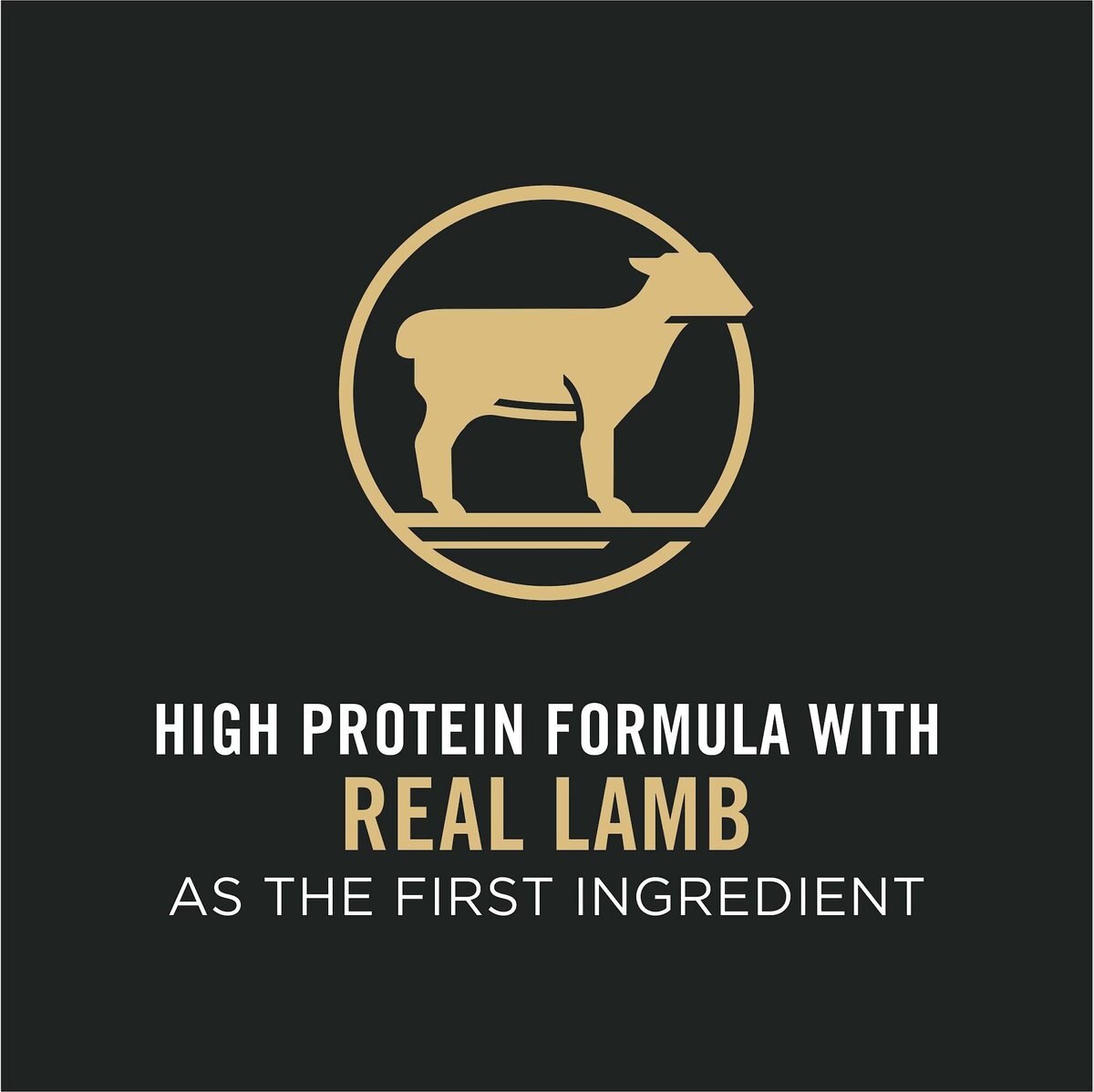 Purina Pro Plan Sport Small Bites All Life Stages High-Protein Lamb and Rice Formula Dry Dog Food