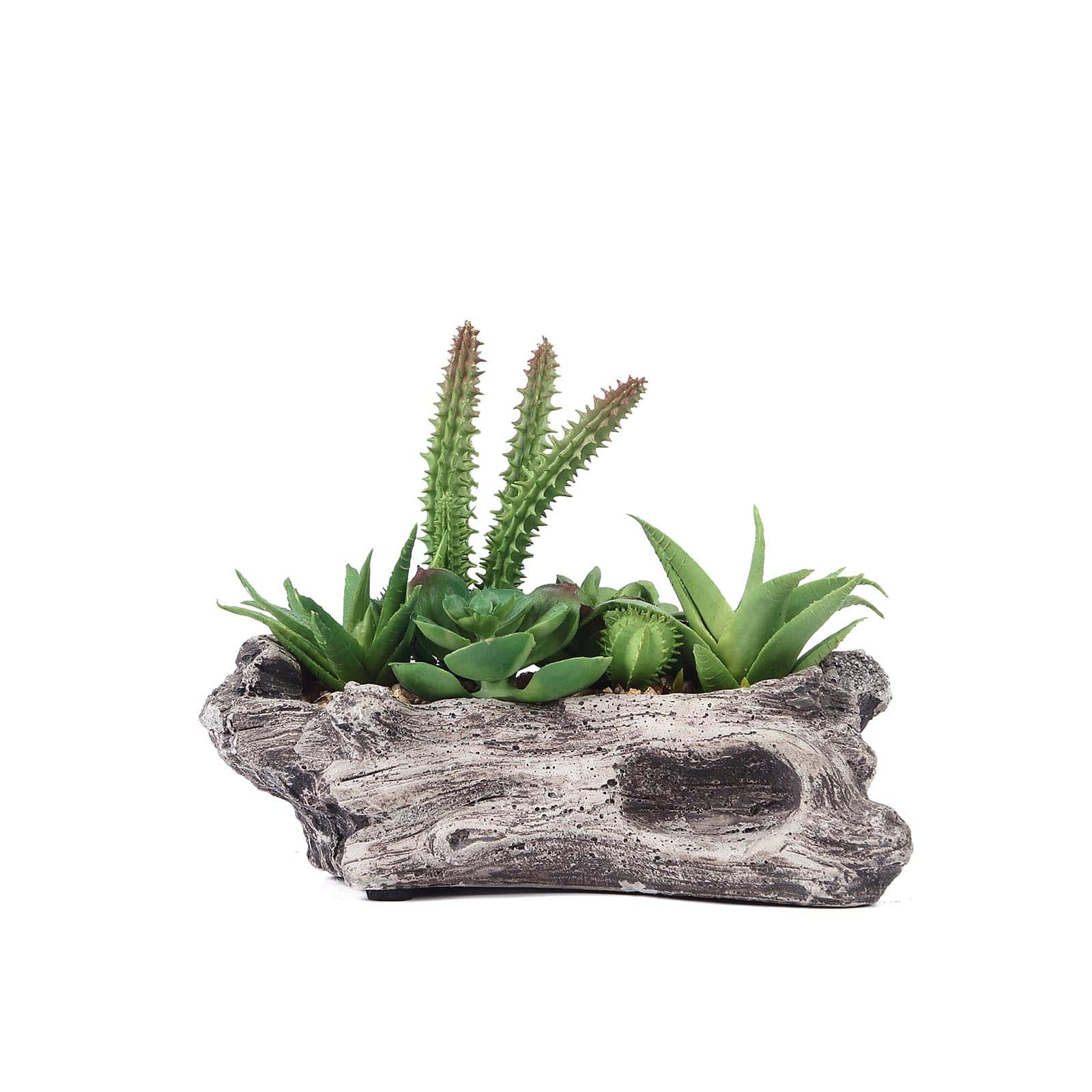 Natural Artificial Log Planter and 15 Assorted Succulent Plants 7