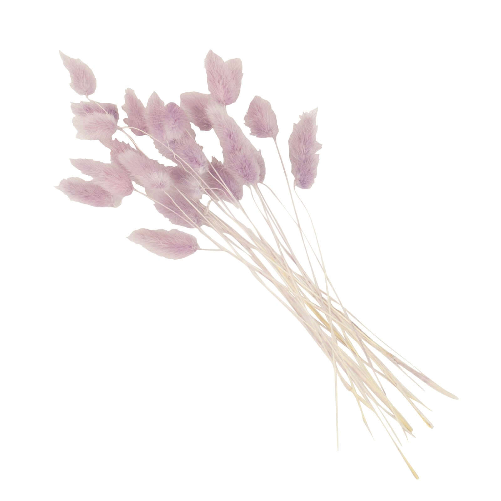 50 Pack Lavender Lilac Rabbit Tail Dried Pampas Grass Flower Bouquets, Boho Stem Arrangements 15