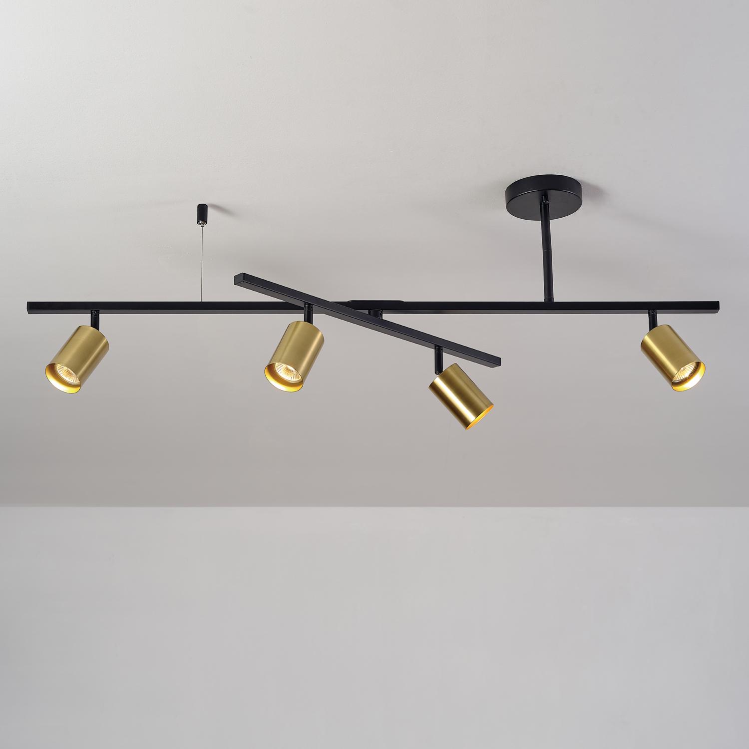 Globe Electric West Matte Black and Matte Brass 4-Light Track Lighting with Center Swivel Bar， 91000133