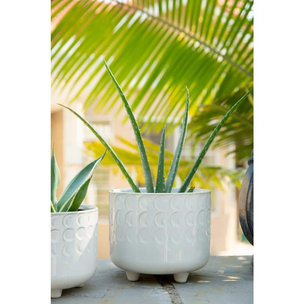 Flora Bunda 6 in. and 4.75 in. Ivory White Small Moon Phase Ceramic Footed Planter Mid-Century Planter(Set of 2) CT1093E2-IVORY