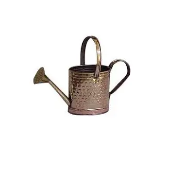 Stylish Vintage Style Watering Can Cream Color Mid Century Garden Gift Plants H20 Dispenser Modern Design Watering Kettle