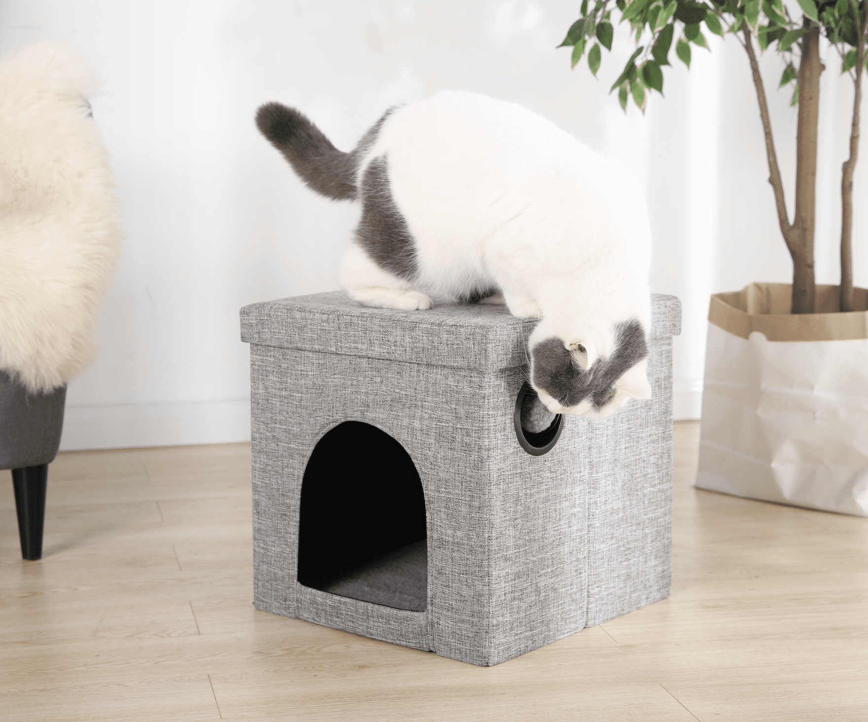 Vibrant Life Small Cat Cube Condo， Gray， 15