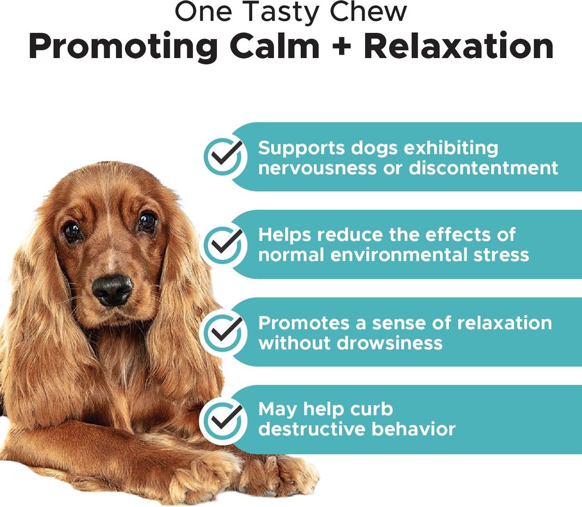 PetHonesty Hemp Calming Chicken Flavored Soft Chews Calming Supplement for Dogs