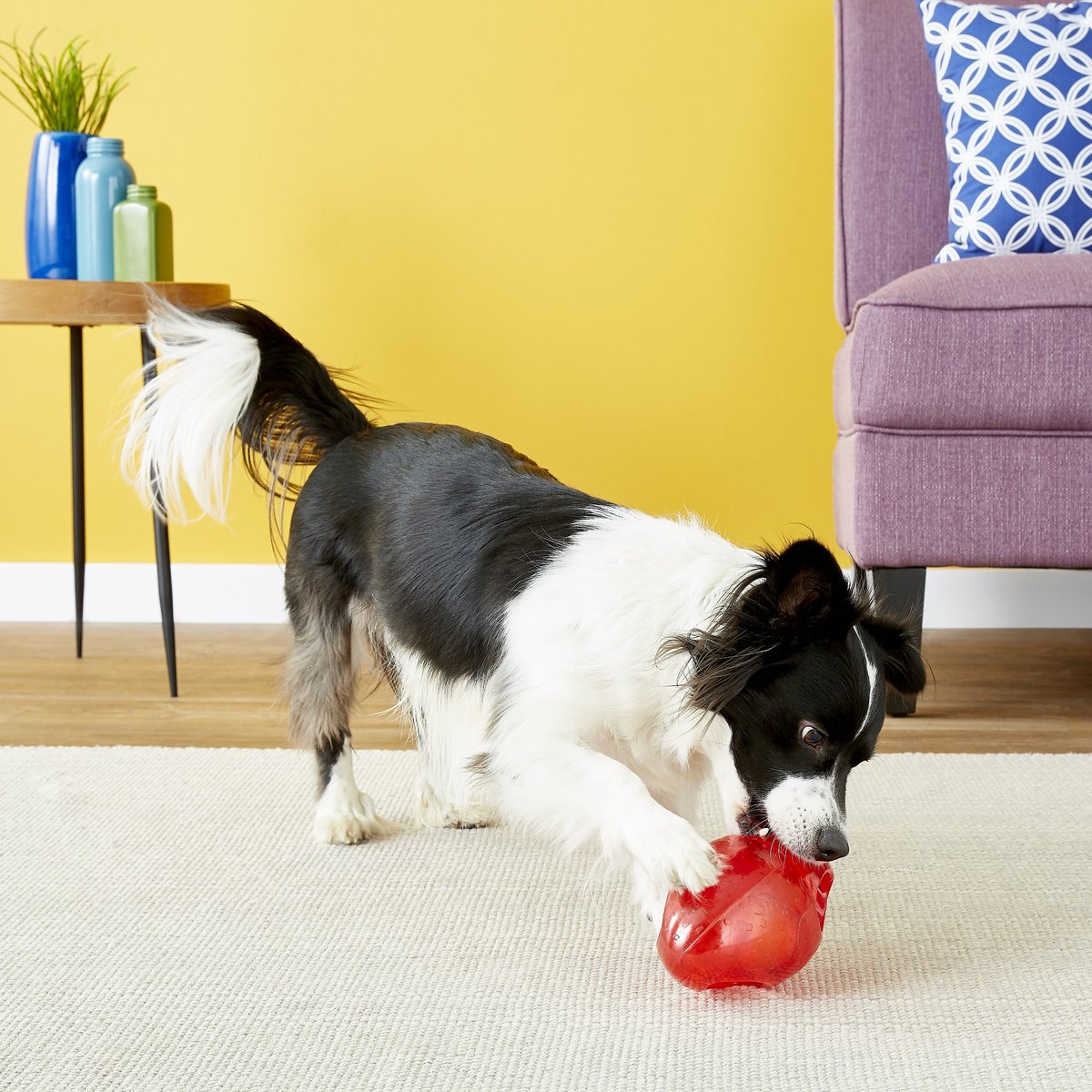 KONG Jumbler Football Dog Toy， Color Varies