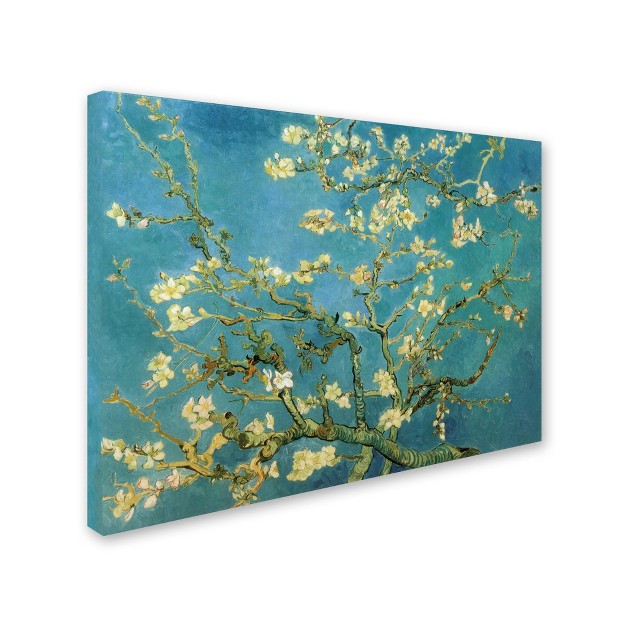 Trademark Fine Art vincent Van Gogh x27 almond Branches In Bloom 1890 x27 Canvas Art