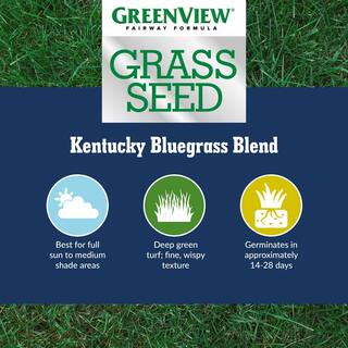 GreenView 3 lbs. Fairway Formula Grass Seed Kentucky Bluegrass Blend 2829352