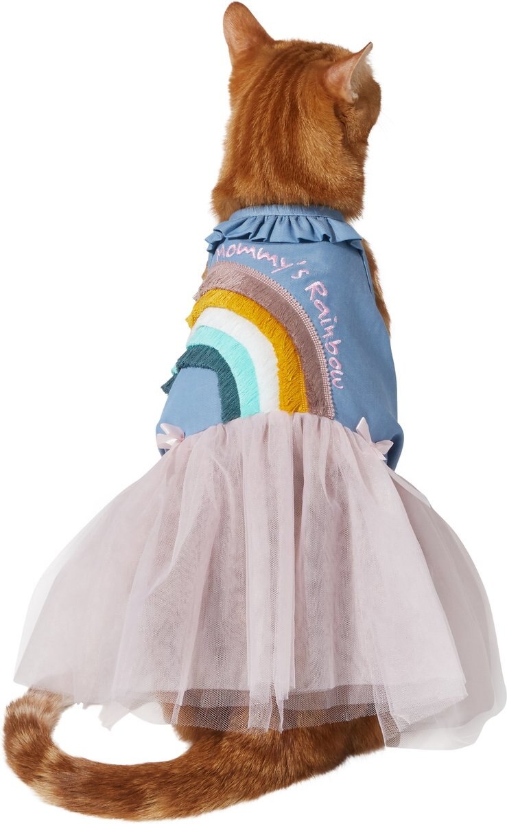 Frisco Rainbow Denim Dog and Cat Dress