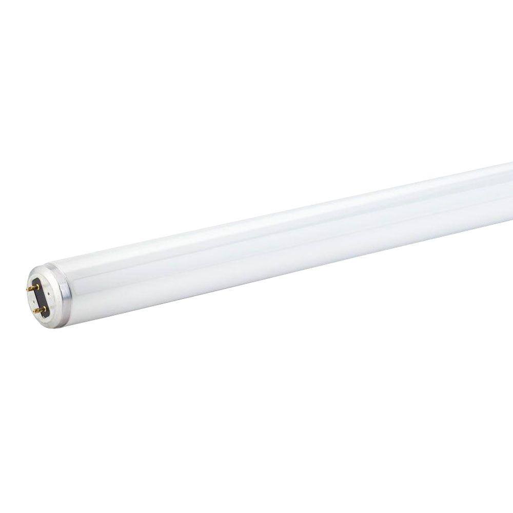 Philips 15-Watt 18 in. Linear T8 Fluorescent Tube Light Bulb Cool White (4100K) (1-Pack) 392076