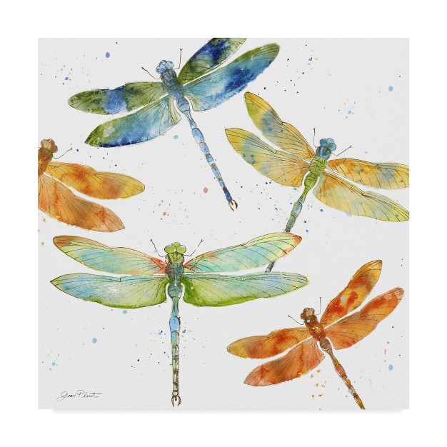 Trademark Fine Art jean Plout x27 dragonfly Bliss 1 x27 Canvas Art