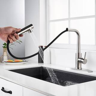 FORIOUS Single-Handle Kitchen Sink Faucet with Pull Down Sprayer Kitchen Faucet in Brushed Nickel HH0025BN