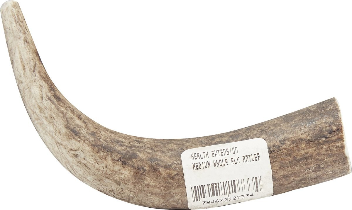 Health Extension 4-in Whole Elk Antler， Medium